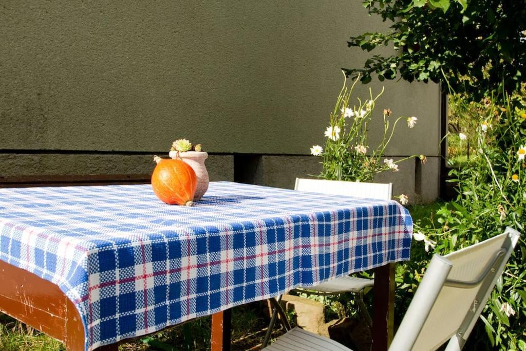 Cozy Rooms In Nature, Perfect For Relax Илирска-Бистрица Экстерьер фото